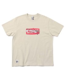 CHUMS(チャムス)/CHUMS Clean River T－Shirt/GREIGE