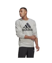 Adidas/エッセンシャルズ ビッグロゴ スウェットシャツ / M ESSENTIALS BIG LOGO SWEATSHIRT/506114454