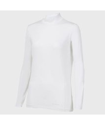 GOLDWIN/COOLING MOCK NECK LONG SLEEVES(クーリング モックネック ロングスリーブ)/506115145