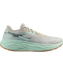 SALOMON/AERO GLIDE/506117779