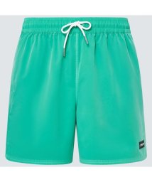 SHIMANO/ROBINSON RC 16 BEACHSHORT/506117883