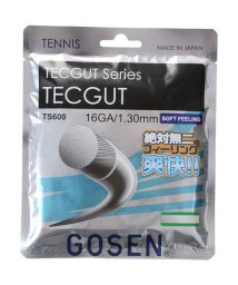 GOSEN/ＴＥＣＧＵＴ　１６/506119539