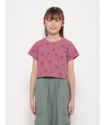 sanideiz TOKYO/「Berry Bear」シリーズ クロップトTシャツ GIRLS/506120351
