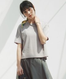 NIJYUSANKU/【洗える】半袖 クロップド IT TEE/506121214