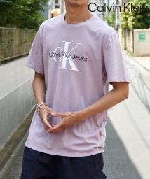 Calvin Klein(カルバンクライン)/【Calvin Klein / カルバンクライン】フロントロゴ プリント Tシャツ 半袖 クルーネック 40DC813/グレー