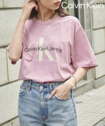 Calvin Klein/【Calvin Klein / カルバンクライン】フロントロゴ プリント Tシャツ 40DC813/505985987