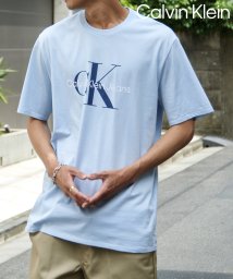 Calvin Klein/【Calvin Klein / カルバンクライン】フロントロゴ プリント Tシャツ 40DC813/505985987