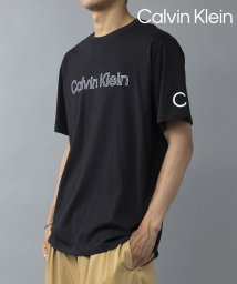 Calvin Klein/【Calvin Klein / カルバンクライン】フロントロゴ プリント Tシャツ 半袖 クルーネック 袖プリント 40DC816/505985988