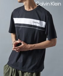 Calvin Klein/【Calvin Klein / カルバンクライン】フロントロゴ プリント Tシャツ 半袖 モノクロ クルーネック 40QC425/505985989