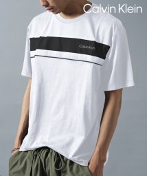 Calvin Klein/【Calvin Klein / カルバンクライン】フロントロゴ プリント Tシャツ 半袖 モノクロ クルーネック 40QC425/505985989