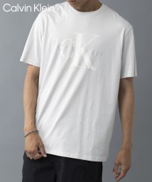 Calvin Klein/【Calvin Klein / カルバンクライン】フロントロゴ プリント Tシャツ 半袖 クルーネック プリントT 40QM825/505985990