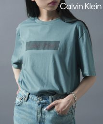 Calvin Klein/【Calvin Klein / カルバンクライン】フロントロゴ プリント Tシャツ 40QM853/505985991