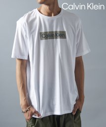 Calvin Klein/【Calvin Klein / カルバンクライン】フロントロゴ プリント Tシャツ 半袖 クルーネック 40QM853/505985991