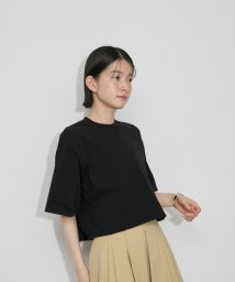 ADAM ET ROPE'/【洗える】クロップドフォルムT S/S/506106459