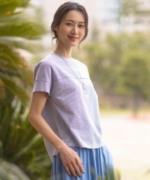 J.PRESS LADIES(J．プレス　レディス)/【WEB限定カラーあり・抗菌消臭・吸水速乾】サッカージャージー フレンチスリーブ カットソー/ブルー系1