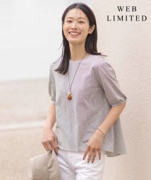 J.PRESS LADIES(J．プレス　レディス)/【WEB限定カラーあり・抗菌消臭・吸水速乾】サッカージャージー 5分袖 ペプラム カットソー/ブラウン系1