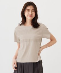 J.PRESS LADIES（LARGE SIZE）(J．プレス　レディス（大きいサイズ）)/レーシーコンビ カットソー/ライトグレー系