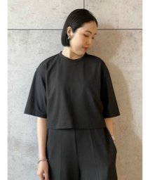 Mila Owen/短丈ワイドTシャツ/506122168