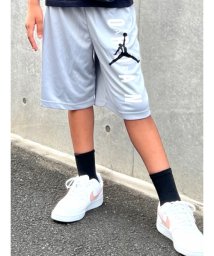 Jordan/ジュニア(128－170cm) ショートパンツ JORDAN(ジョーダン) JDB JORDAN VERT MESH SHORT/505250582