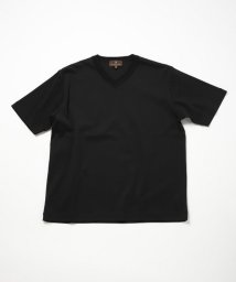 Men's Bigi/60/2マーセライズジャージVネックTEE/506122808