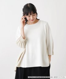 Leilian PLUS HOUSE(レリアンプラスハウス)/切替七分袖カットソー【THE NEW】【Leilian WHITE LABEL】/アイボリー