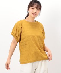 ONIGIRI/シアーボーダー　ドルマンスリーブＴシャツ/506097917