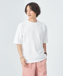 green label relaxing/アムンゼンツイル クルーネック Tシャツ/506104710