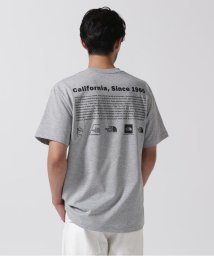 BEAVER(ビーバー)/THE NORTH FACE /ザ・ノースフェイス  S/S Historical Logo Tee/グレー