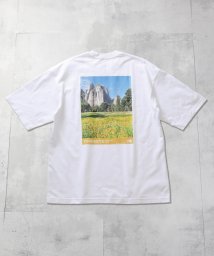 FUSE(フューズ)/【THE NORTH FACE/ザ ノース フェイス】S/S Yosemite Scenery Tee/ホワイト