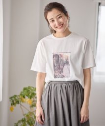 anyFAM/オーガビッツアソートプリントTシャツ/506157814