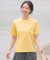 J.PRESS LADIES(J．プレス　レディス)/ロゴTシャツ/マリーゴールド系