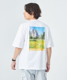 green label relaxing/＜THE NORTH FACE＞ショートスリーブヨセミテシーナリーティー Tシャツ/506120869