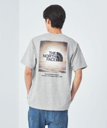 green label relaxing/＜THE NORTH FACE＞ショートスリーブナチュラルフェノメノンティー Tシャツ/506121064
