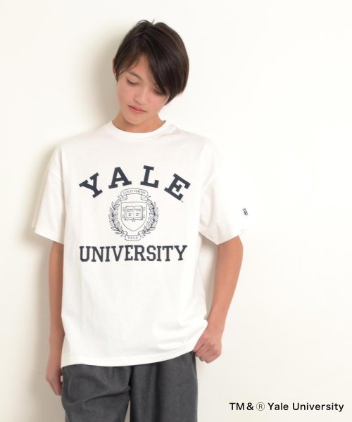 GLAZOS(グラソス)/【YALE】コットン・半袖カレッジプリントTシャツ/ホワイト