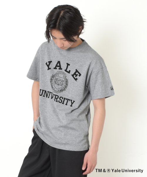 GLAZOS(グラソス)/【YALE】コットン・半袖カレッジプリントTシャツ/トップグレー