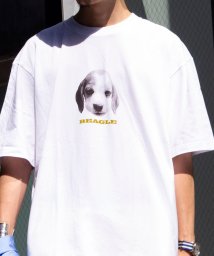 GLOSTER/【新柄追加】【GLOSTER/グロスター】DOG&CAT 犬猫プリントTシャツ/506031461