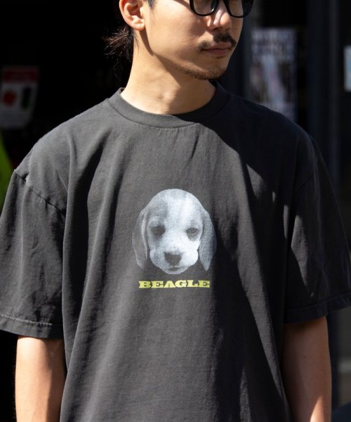GLOSTER(GLOSTER)/【新柄追加】【GLOSTER/グロスター】DOG&CAT 犬猫プリント ピグメント プリントTシャツ/その他