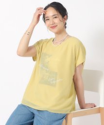 セール】1枚でサマ見え シフォンレイヤード 転写プリントTシャツ  