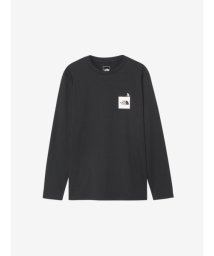 THE NORTH FACE/L/S ACTIVE MAN TEE(ロングスリーブアクティブマンティー)/506112029