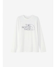 THE NORTH FACE/L/S BIG LOGO TEE(ロングスリーブビッグロゴティー)/506126545
