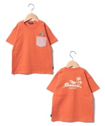 kladskap/ポケットから恐竜半袖Tシャツ/506158630