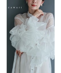 CAWAII/花びらフリル袖のシアーロングシャツチュニック/506197058