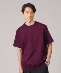 TAKEO KIKUCHI/【抗菌防臭/7色5サイズ展開】ハイゲージポンチ Tシャツ/505994547
