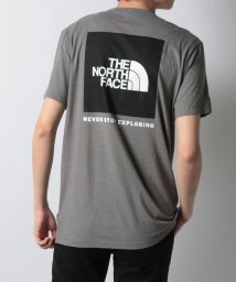 THE NORTH FACE(ザノースフェイス)/【THE NORTH FACE / ザ・ノースフェイス】BOX NSE TEE NF0A4763 ボックスロゴ Tシャツ 半袖 カットソー プリントT/グレー2
