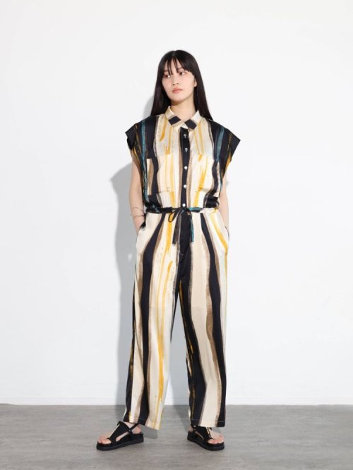 ペイントタッチオールインワン 