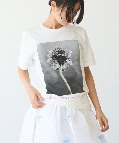 IENA(イエナ)/LISA KING/リサキング BLOEMEN SEIZON Tシャツ LK166－T/ホワイト