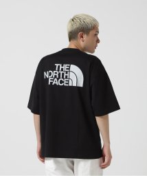 BEAVER(ビーバー)/THE NORTH FACE　S/S simple color scheme tee NT32434/ブラック