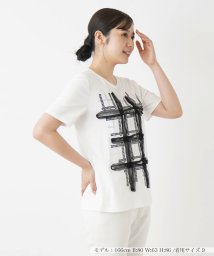 Leilian/フリル刺繍半袖Tシャツ【Leilian WHITE LABEL】/506104484