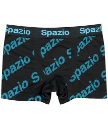 SPAZIO/SPAZIO スパッツィオ フットサル ロゴスポーツパンツ AC0093 02/506300829
