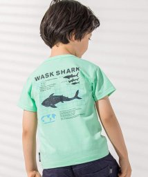 WASK/【接触冷感】WASK SHARK 天竺Tシャツ(100~160cm)/506176245